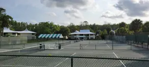 Cozy Home in Saddlebrook Golf and Tennis Resort - Image 5