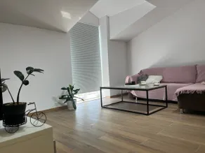 Calypso - Image 3