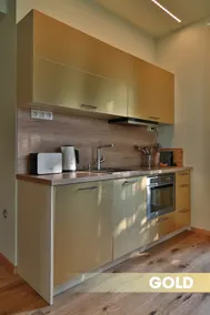 DV Gold Premium Apartment - Image 2