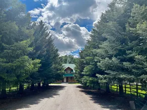 Country Cabin 25 Acres w/pond - Image 3
