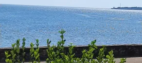 Bright 74 m² beachfront 2 bedroom - Image 2