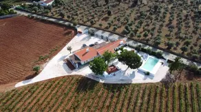 Fonte Freixo, em Borba, Alentejo - Image 2
