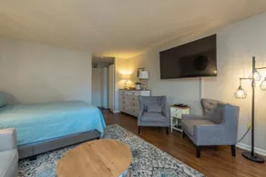 Studio Villa in Lake Lure - Image 3