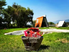 Glamping | Malinalco | Grill, Fire Pit & Stars - Image 5