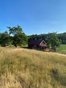 Stay on a farm in beautiful Ydre - Image 3