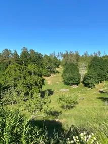 Stay on a farm in beautiful Ydre - Image 4