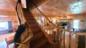 Rose Mountain Lodge - Image 3