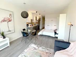 Entire apartment + parking in pleasant Mount Pleasant - Image 5