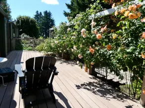 Green House - Image 3