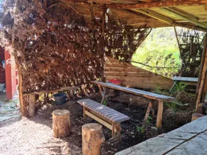 Fishing, outdoor activities and swimming. Cottage by mountain lake. - Image 5