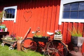 Small Pear Orchard - Image 4