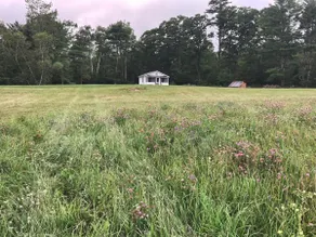 Country View Cottage - Image 3