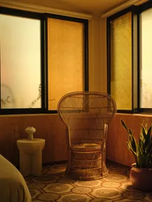 Retro Glass House w/ Tub | VERDE by DW - Image 4