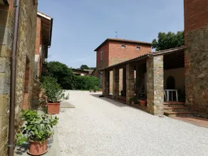Il papavero verde - Image 3