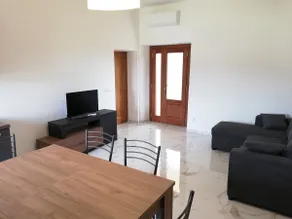 Il papavero verde - Image 4