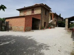 Il papavero verde - Image 2