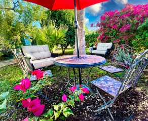 Tiny Secret Garden - Image 3