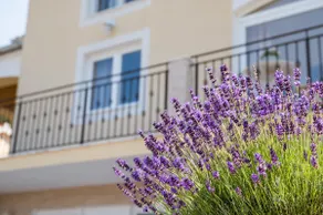 Casa Scardona - Image 4