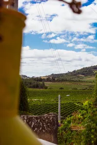 Viosinho guest house - Image 4