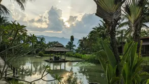 Boutique Bungalow w/ Natural Pool & Steam Sauna - Image 5