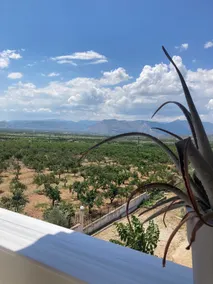 Enchanting Mycenae - Your Greek holiday retreat - Image 4