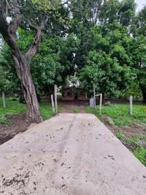 Los Mangos Eco-Responsible House - Image 2