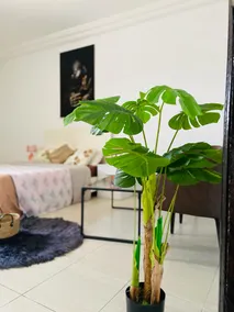 Wonderful studio. - Image 2