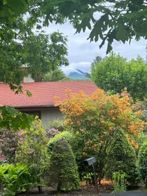Cozy Cabin in Linville Near Sugar and Beech Mtn! - Image 2