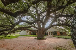 Oak Tree Country Manor w/ Pool - Image 2