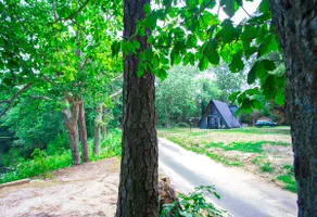 Lakefront A-Frame cabin home, minutes to NJMP - Image 3