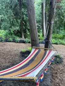 John Wayne Cedar Oasis - Image 4