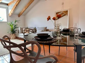 Attic apartment, Ascona with 2 bikes - Image 4