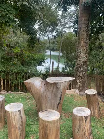 Recanto das Palmeiras (Palm Trees Corner) - Image 2