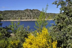 Cabaña del Burguillo - Image 3