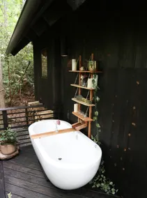 The Understory: Cabin with Outdoor Tub and Sauna - Image 4