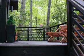 The Understory: Cabin with Outdoor Tub and Sauna - Image 3