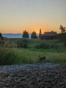 Country, Quiet Feel in Northwest Kalispell - Image 4