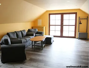 Large apartment - Image 2