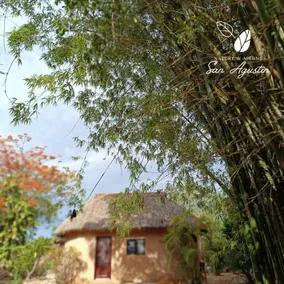 Nature Getaway | Glamping Cabin - Image 5