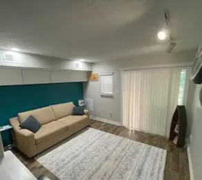 Cozy condo on Smith Mtn Lake - Image 3