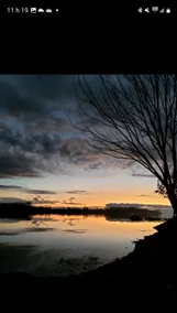the heron - Image 3