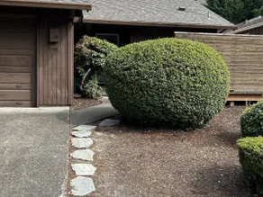 Quiet SW Portland Home 15 mins from Downtown - Image 2