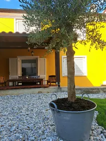Kvarner holiday home - Image 5