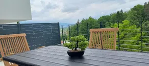 Apartments near Ljubljana, Sleeps 10, Free Parking - Image 4