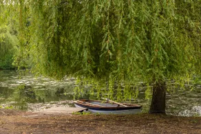 Lakefront cabin with boat and countryside - Image 3