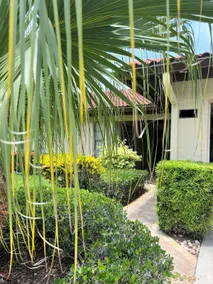 Siesta Villa - Image 2