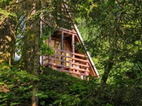 Jakob Cabin - Image 2