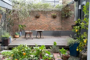 Lime washed Terrace, great North Fitzroy location. - Image 5