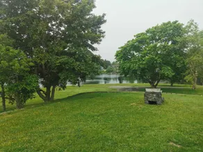 The River House - Image 2
