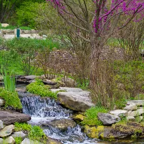 Fairlawn Serenity Retreat - Image 5